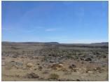 afrika07036.jpg