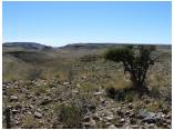 afrika07038.jpg
