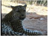 afrika07051.jpg
