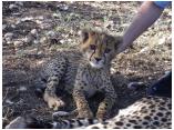 afrika07060b.jpg