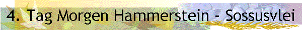 4. Tag Morgen Hammerstein - Sossusvlei