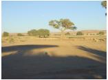 afrika07064.jpg
