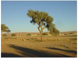 afrika07065.jpg