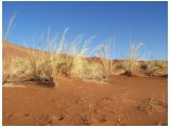 afrika07070.jpg