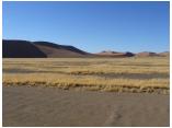 afrika07074.jpg