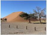 afrika07075.jpg
