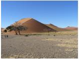 afrika07077.jpg