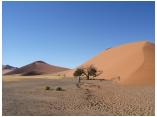 afrika07077a.jpg