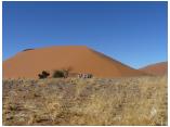 afrika07078.jpg