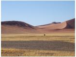 afrika07078a.jpg