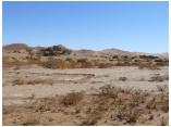 afrika07081.jpg