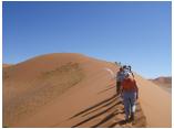 afrika07084a.jpg