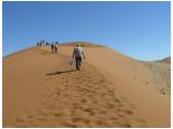 afrika07085.jpg