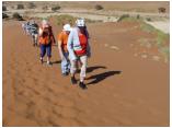 afrika07086.jpg