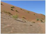 afrika07093.jpg