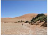 afrika07093a.jpg