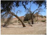 afrika07095.jpg