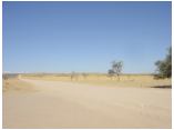 afrika07106.jpg