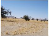 afrika07106a.jpg
