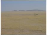 afrika07108.jpg
