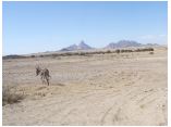 afrika07153a.jpg