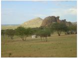 afrika07161.jpg