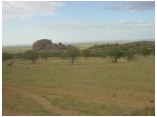 afrika07162.jpg