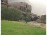 afrika07162c.jpg