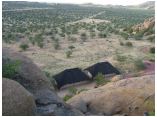 afrika07162p.jpg