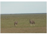 afrika07199.jpg