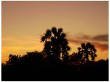 afrika07280a.jpg