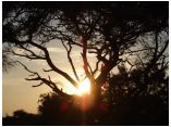afrika07281a.jpg