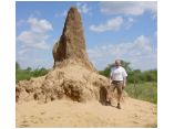 afrika07312.jpg