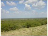 afrika07318.jpg