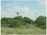 afrika07320.jpg