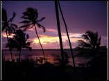 DSC00096.JPG
