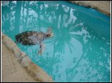 DSC00108.JPG