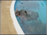 DSC00110.JPG