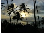 DSC1007.JPG