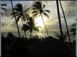 DSC1015.JPG