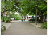 DSC1050.JPG