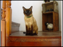 DSC00283.JPG