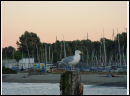 DSC00040.JPG