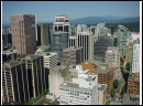 DSC00135.JPG