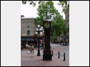 DSC00203.JPG