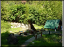DSC00066.JPG
