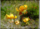 DSC00091.JPG