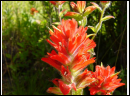 DSC00092.JPG