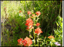 DSC00093.JPG