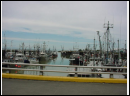 DSC00173.JPG